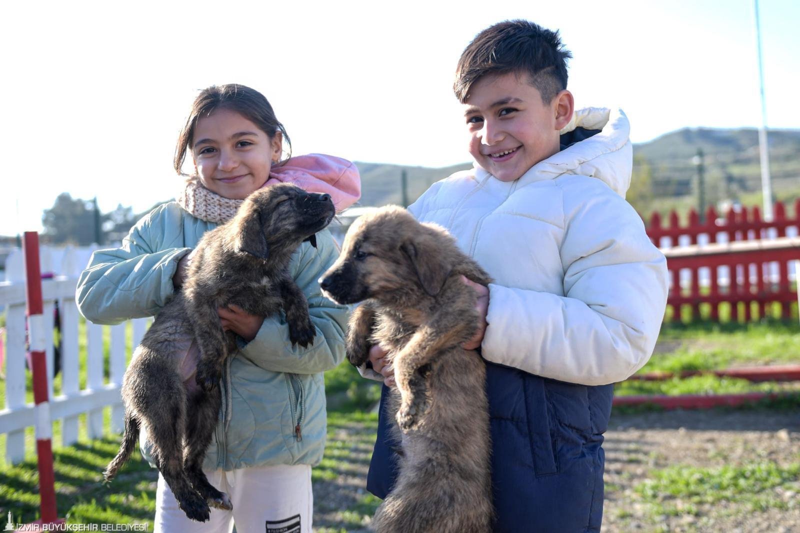 Barınaklardan 3 binin üzerinde hayvan sahiplendirildi