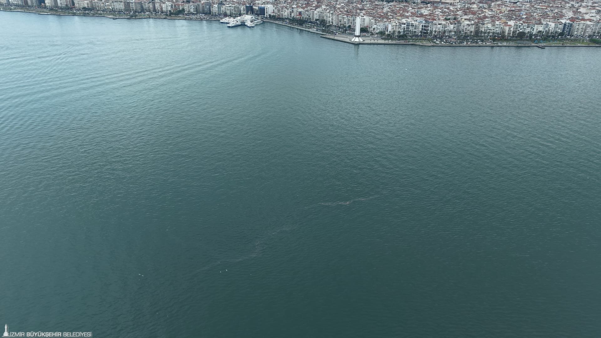 “Sistematik çevre ihlali endişe veriyor”