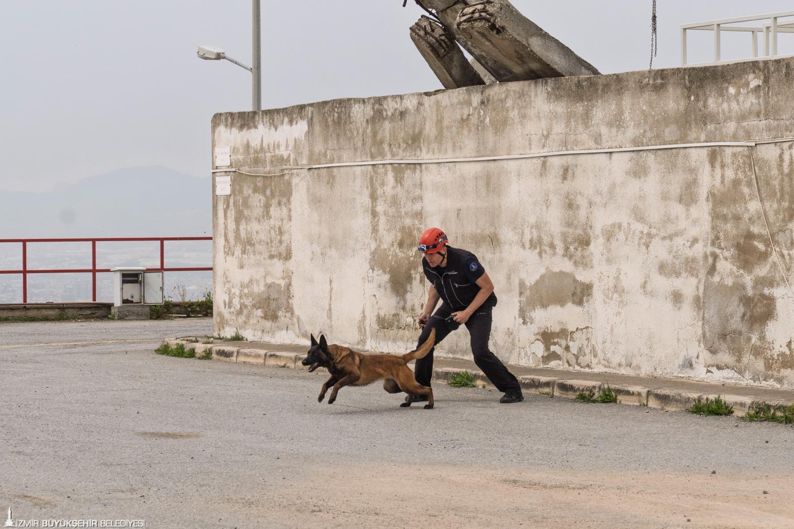 Momo enkaz için eğitiliyor