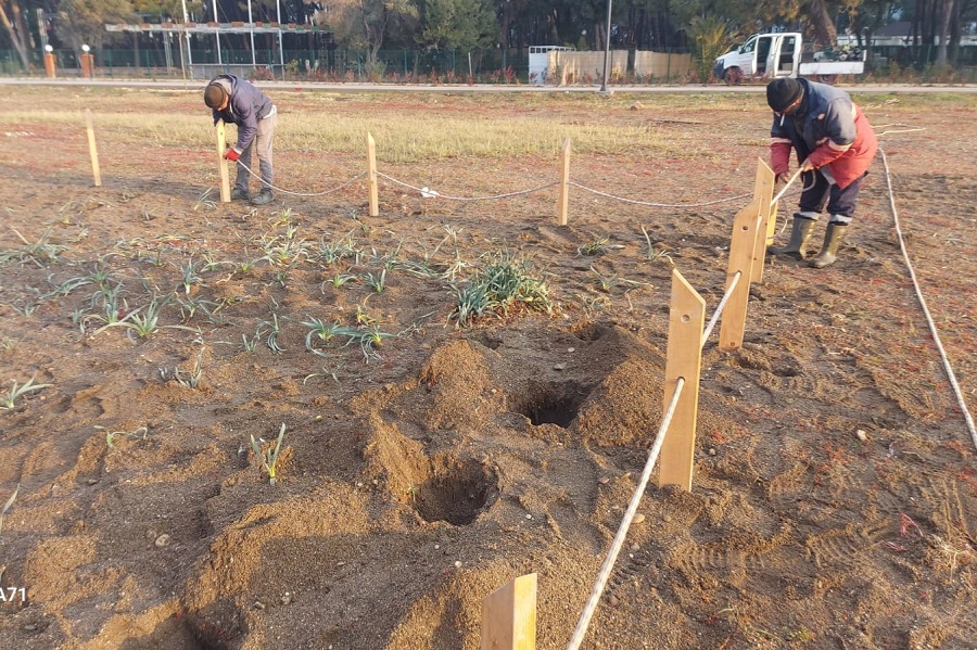 WhatsApp Image 2025-03-04 at 11-07-29