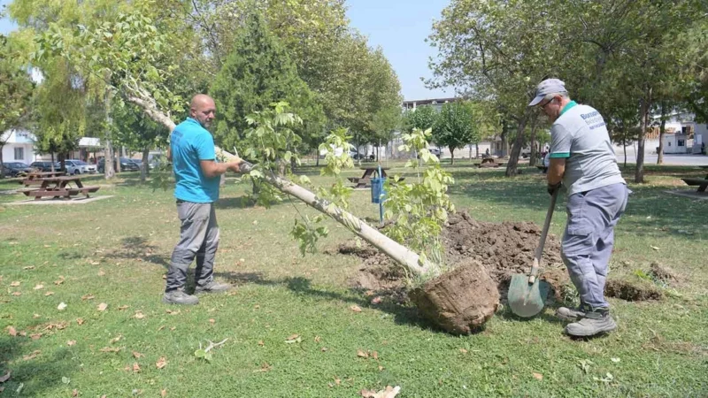 Bornova Belediyesi, ilçeye bir yandan yeni parklar kazandırırken bir yandan