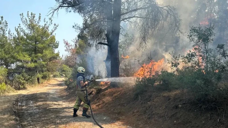 İzmir Büyükşehir Belediyesi Çanakkale Kayadere mevkiinde başlayan ve pek çok