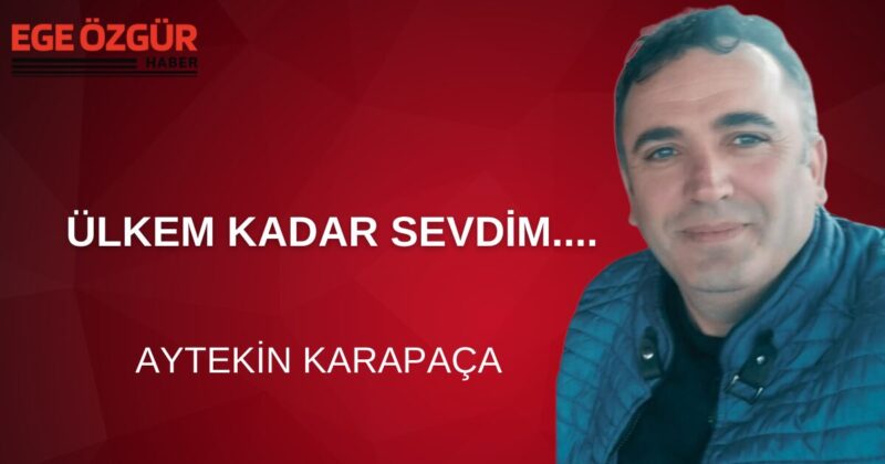 Sarı sonbahar akşamlarının  
Yağmur taneli saatleriydi 
Günlerden hasret  
Vakitler den uçurum