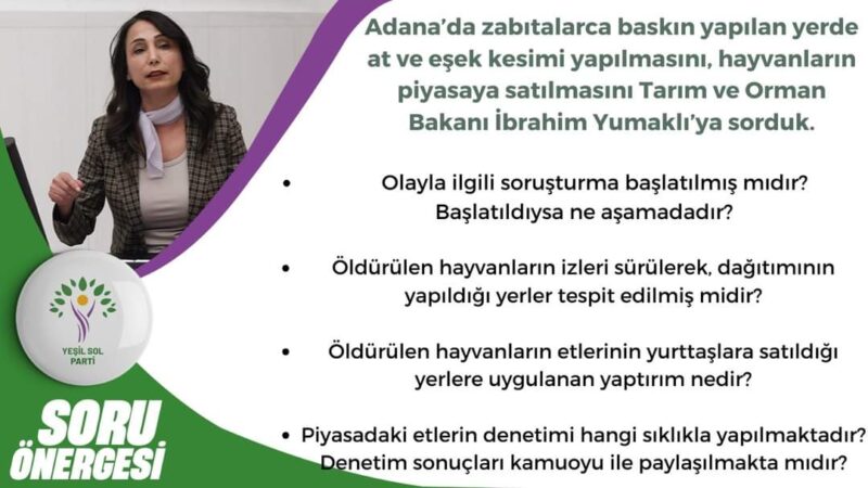 Adana'da zabıtalarca baskın yapılan yerde at ve eşek kesimi yapılmasını,