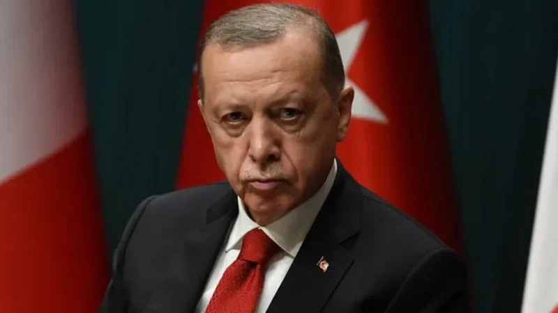 Cumhurbaşkanı Erdoğan, TSK'ya yönelik açıklamaları tepki çeken CHP Milletvekili Sezgin