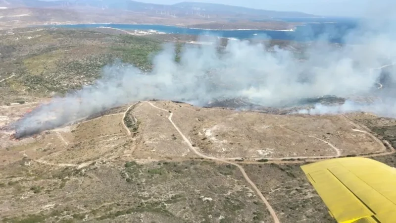 Çeşme ilçesinde, çöplükte başlayan ve rüzgarının da etkisiyle önce otluk