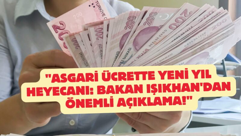 Ocak ayının yaklaşmaya başlaması ile asgari ücretli de yapılacak zammı