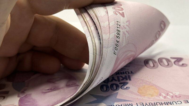 Gazeteci Deniz Zeyrek, asgari ücret, memur ve emekli maaşlarına yıl