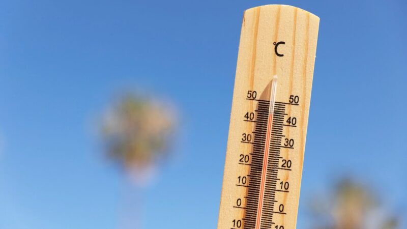 Meteoroloji Genel Müdürlüğü 30 Aralık hava durumu raporunu paylaştı. Rapora