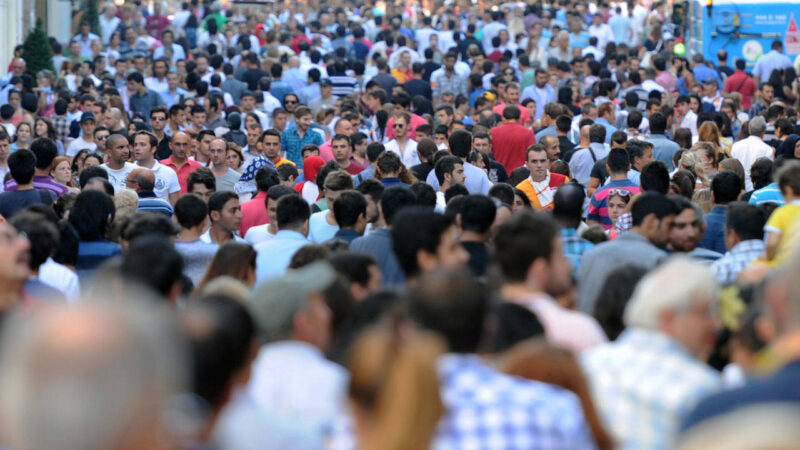 TÜİK verilerine göre Türkiye'de işsizlik, ekimde yüzde 8,5 seviyesine geriledi.