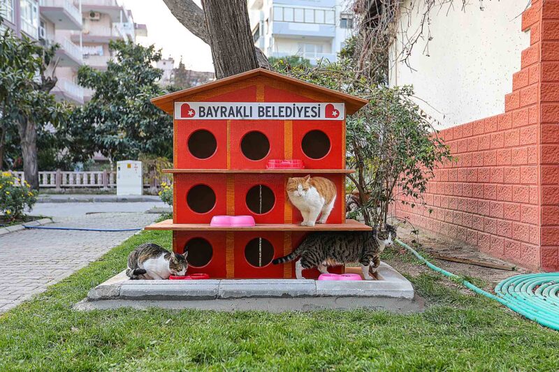 Bayraklı Belediyesi Veteriner İşleri Müdürlüğü ekipleri, yıl boyunca belirli periyotlarda