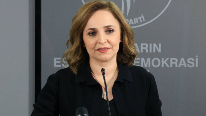 DEM Parti Sözcüsü Ayşegül Doğan, Ankara, Antalya, Bolu, Konya, Kocaeli,