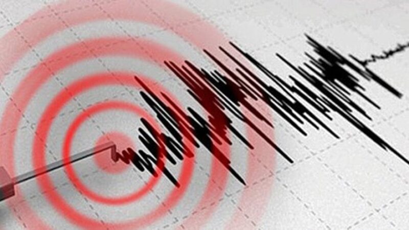 Adana'da öğle saatlerinde deprem meydana geldi.