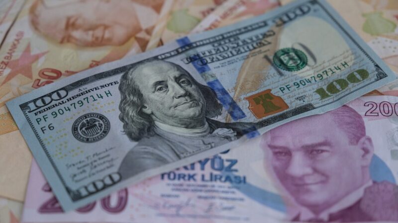 İstanbul serbest piyasada dolar 29,7880 liradan, euro 32,5460 liradan güne