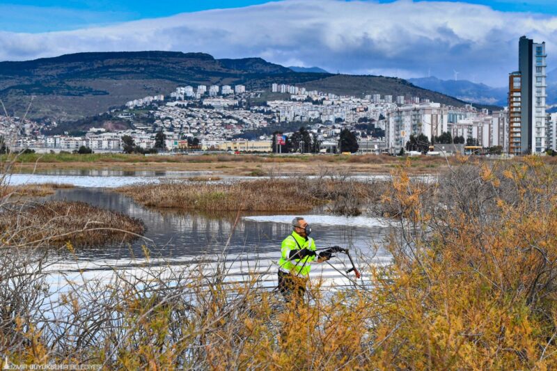 İzmir Büyükşehir Belediyesi ekipleri sivrisineklere yönelik mücadelesini kış aylarında da