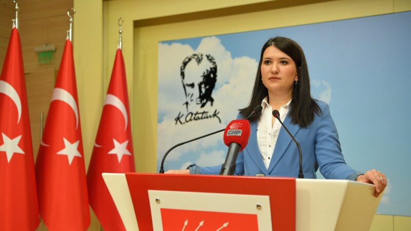 CHP Genel Başkan Yardımcısı Gökçe Gökçen, iktidarın gündeme getirdiği 'anayasa
