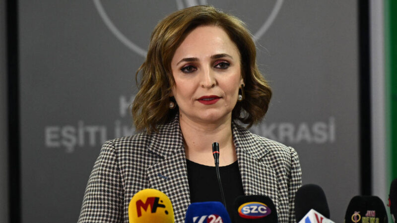 DEM Parti Sözcüsü Ayşegül Doğan, 3 Şubat'ta partinin Merkez Yürütme