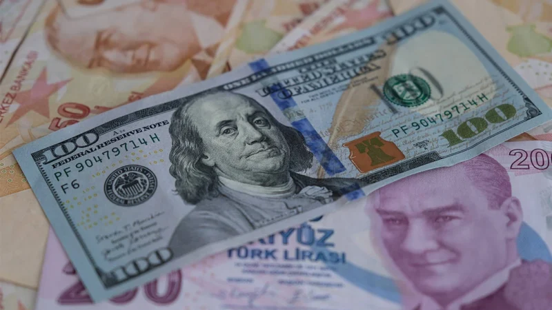Güne önceki kapanışına göre yükselişle başlayan dolar kuru 31 TL'nin