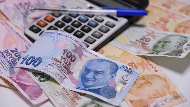 Emekli maaşlarının enflasyon karşısında günden güne erimesi, seçim öncesi hükümeti