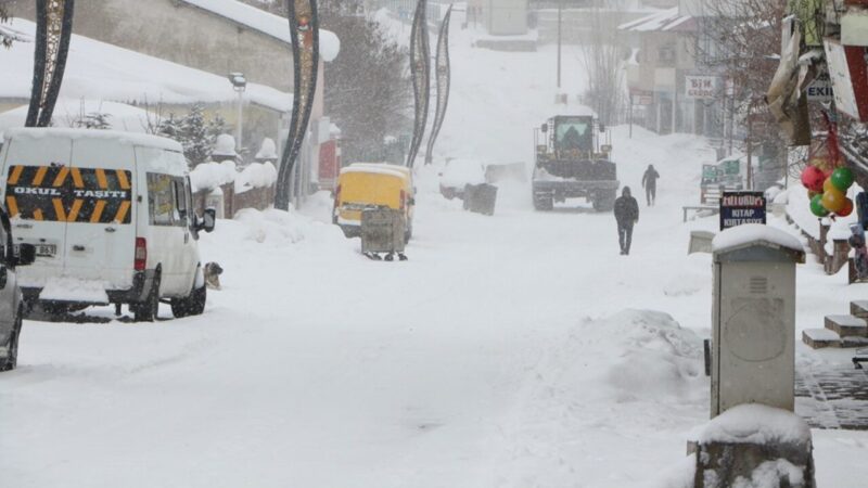 Yoğun kar yağışı nedeniyle Ağrı'nın 5 ilçesinde, Van'da 3 ilçede