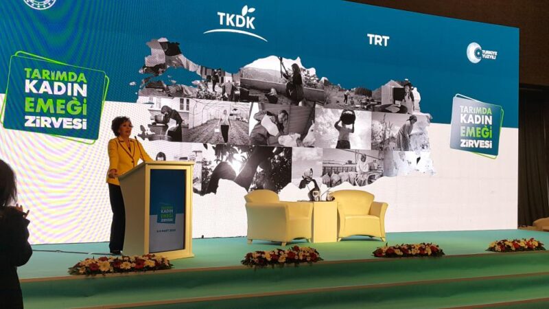 Zirvede Türkiye'nin muhtelif yerlerinden gelen kadın çiftçilerin el emeklerini sergiledikleri
