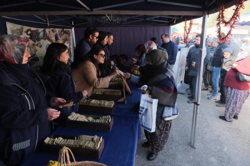 “Bir avuç tohum, bir ömür bağımsızlıktır” sloganıyla yerel tohumları yaygınlaştırılmaya