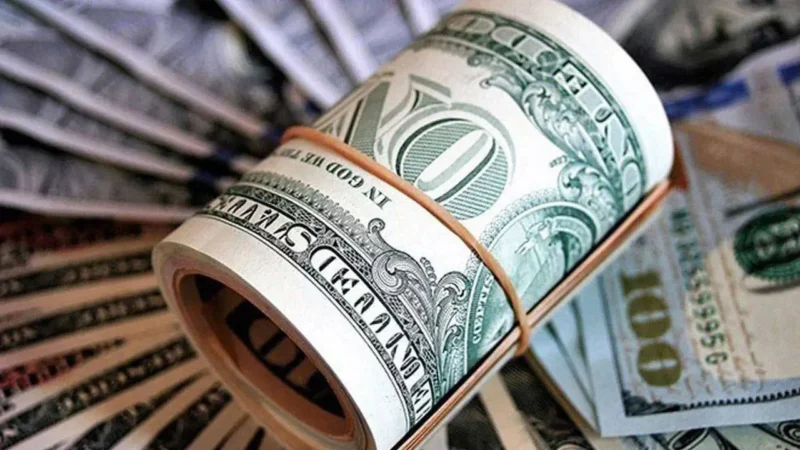 Güne 31,91 seviyesinden başlayan dolar, TL'ye karşı yeni rekorunu kırdı.