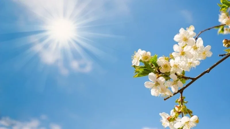 Meteoroloji Genel Müdürlüğü 1 Nisan hava durumu raporunu paylaştı. Rapora