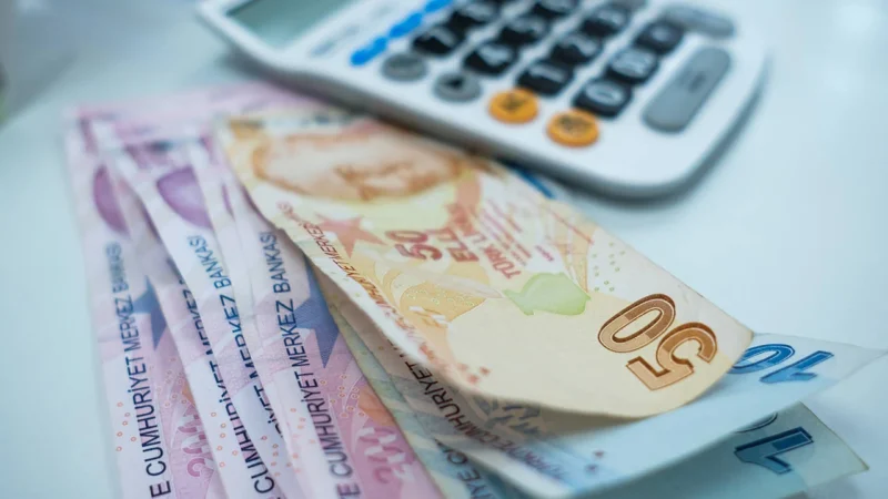 Çalışma ve Sosyal Güvenlik Bakanı Vedat Işıkhan, asgari ücrete ara