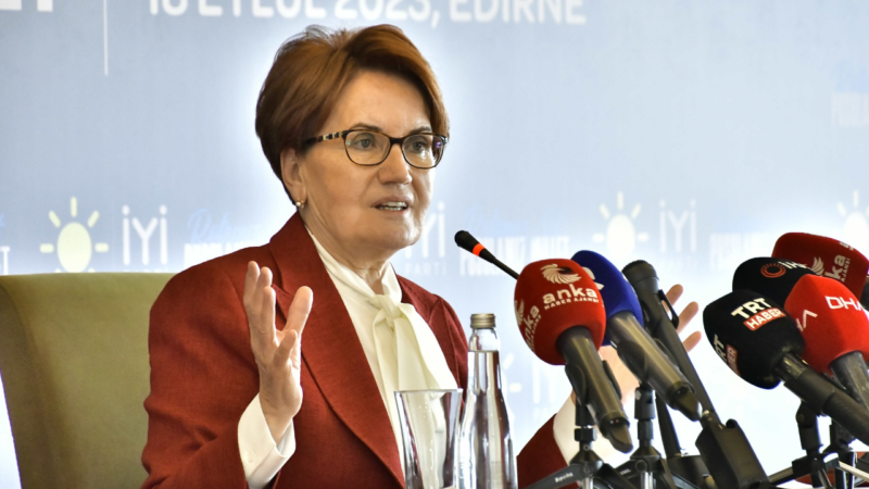 AKP'li Cumhurbaşkanı Recep Tayyip Erdoğan'ın İYİ Parti Genel Başkanı Meral