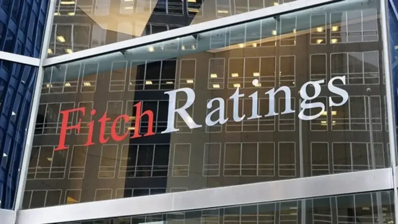 Uluslararası kredi derecelendirme kuruluşu Fitch, Türkiye'de yedi banka dışı finansal