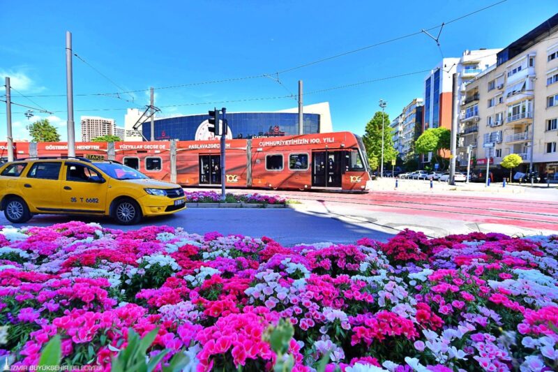 İzmir Büyükşehir Belediyesi, kentin caddeleri ve meydanlarını petunya, begonya, godetya,
