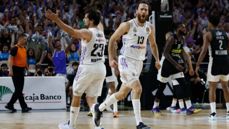 THY Euroleague'de şampiyonluk için bahis oranları belli oldu. Favori olarak