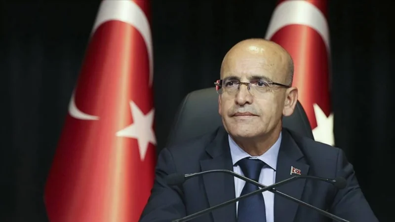 Hazine ve Maliye Bakanı Mehmet Şimşek, vergi kaçakçılığıyla mücadelede yeni