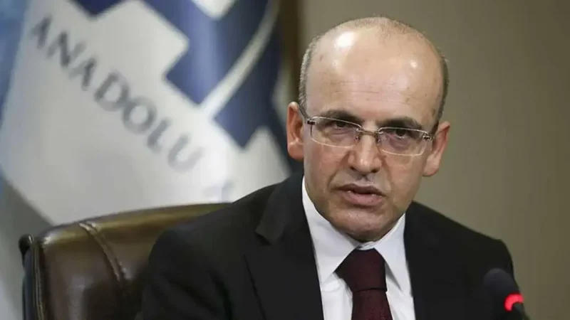 Hazine ve Maliye Bakanı Mehmet Şimşek, Türkiye'de stratejik sektörler ve