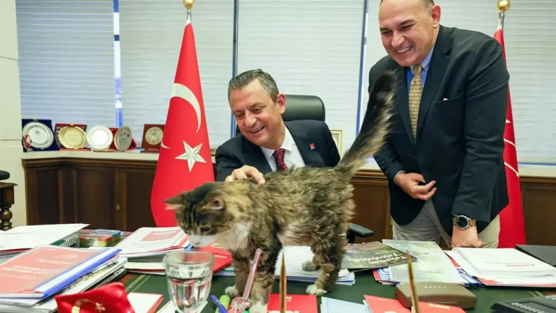 CHP'nin kedisi olarak bilinen Şero taburcu oldu. Haberi duyuran CHP
