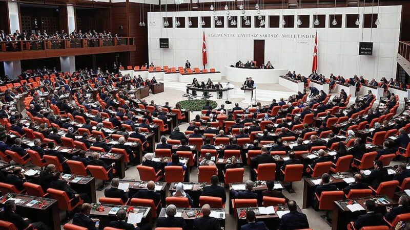 Türkiye Büyük Millet Meclisi, bu hafta fahiş fiyata karşı atılacak