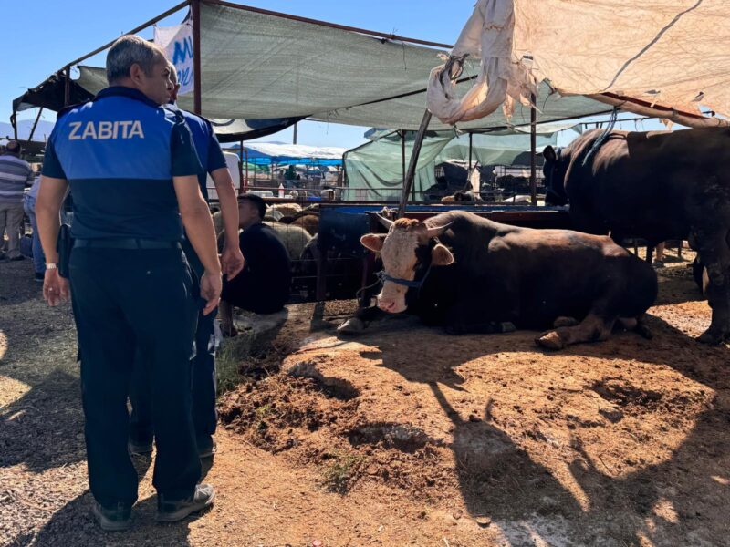Çiğli Belediyesi, Kurban Bayramı’nda toplum sağlığını ve çevre temizliğini korumak