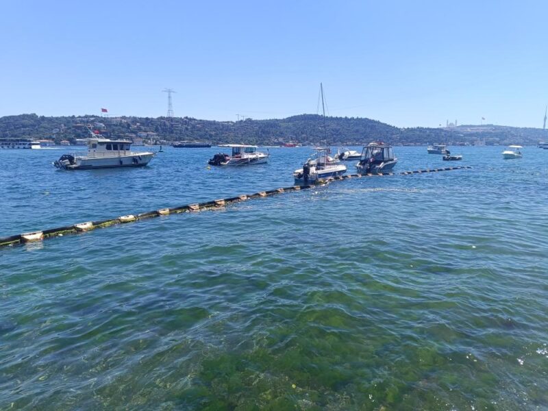 Beşiktaş Bebek Sahili denize girenler ile dolup taşıyor. Piknik yapmak