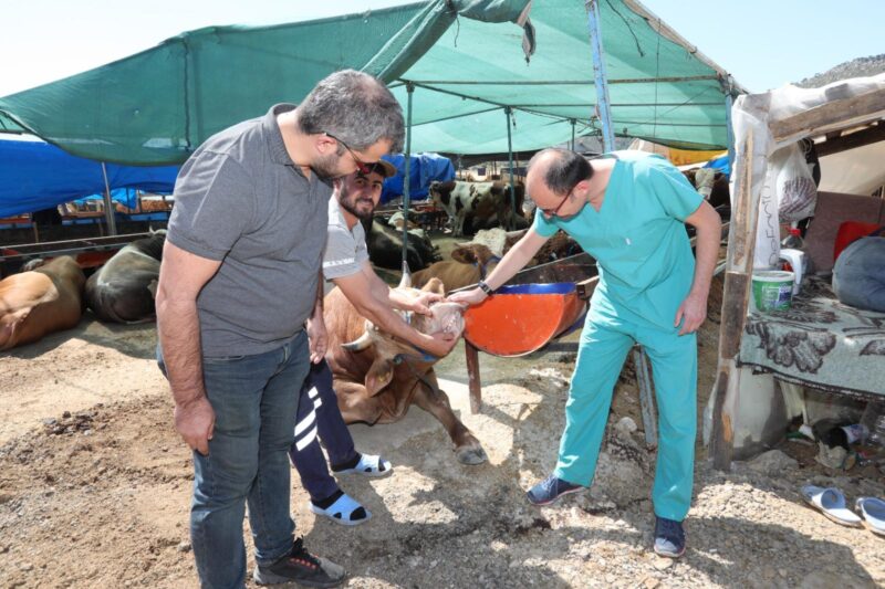 Bayraklı Belediyesi ekipleri, yaklaşan Kurban Bayramı öncesi Doğançay'daki kurban satış