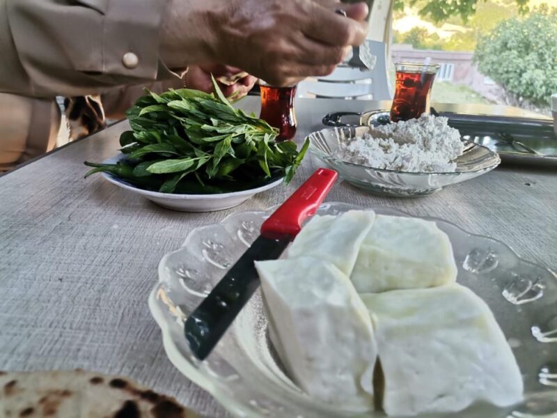 Kekik, keven kokulu yaylalarda güneş yüzünü gösterirken başlar hayat Pazarcık’ın