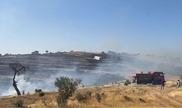 Mardin’in 5 ilçesinde çıkan yangında yüzlerce dönümlük alan kül olurken,
