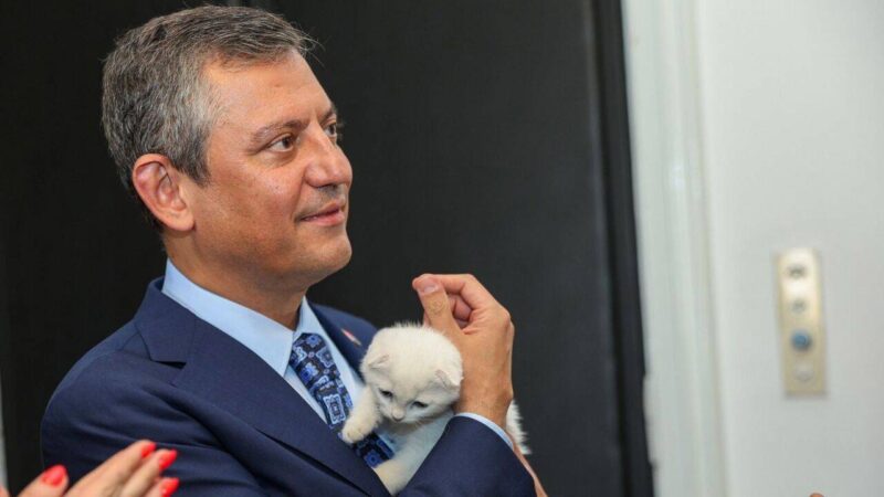 CHP Genel Başkanı Özgür Özel, sahiplendiği kedi için bir sosyal