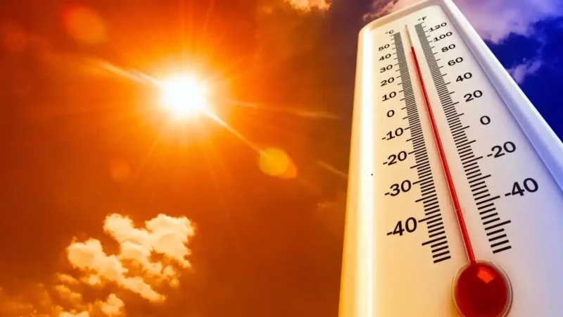 İzmir'de sıcak havalar etkisini sürdürmeye devam ediyor. Bu hafta iki