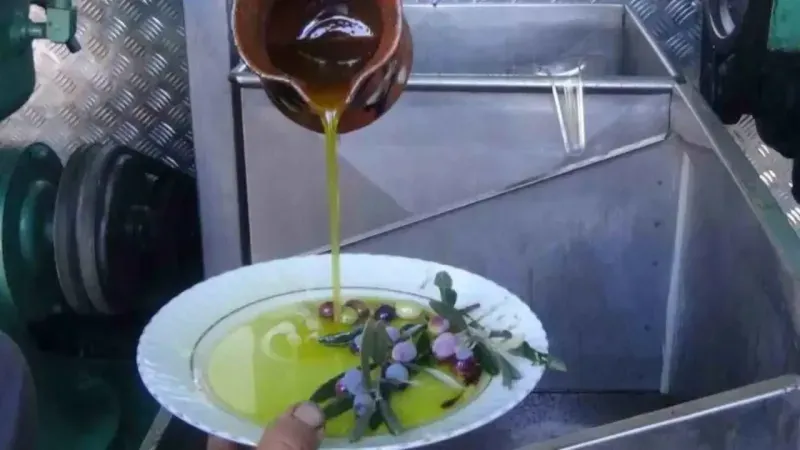 Sabahları güne enerjik bir başlangıç yapmanın en doğal yollarından biri,
