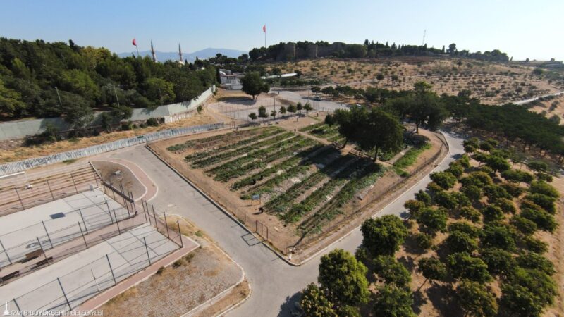 İzmir Büyükşehir Belediyesi’nin kadınlara yönelik olarak Kadifekale’de kurduğu mahalle bostanında