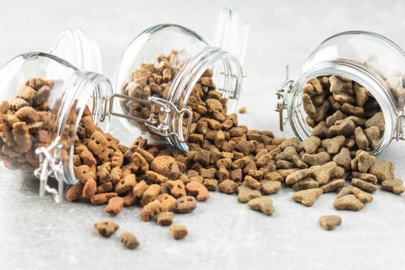Türkiye’nin kedi-köpek maması ihracatı 2024 yılının ilk yarısında yüzde 26,5’lik