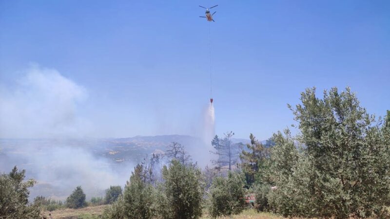 Adana'nın Kozan ilçesinde buğday tarlasındaki anız yangını, yakınlardaki bahçe ile