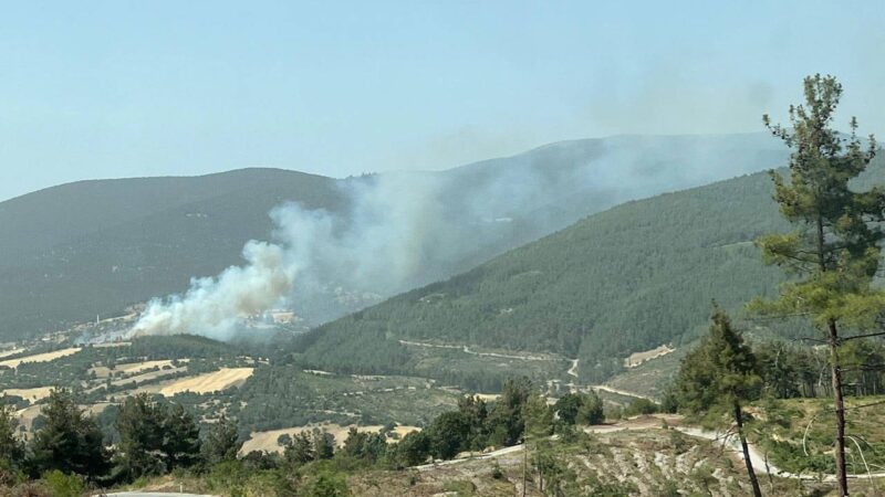 Balıkesir'in Kepsut ilçesinde ormanlık alanda henüz bilinmeyen nedenle çıkan yangına