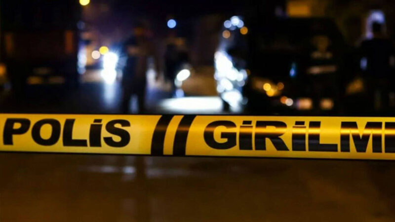 Gümüşhane'nin Kelkit ilçesinde yol ortasında insan kafatası bulundu. Olayla ilgili